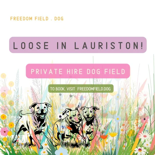 Loose In Lauriston