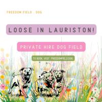 Loose In Lauriston