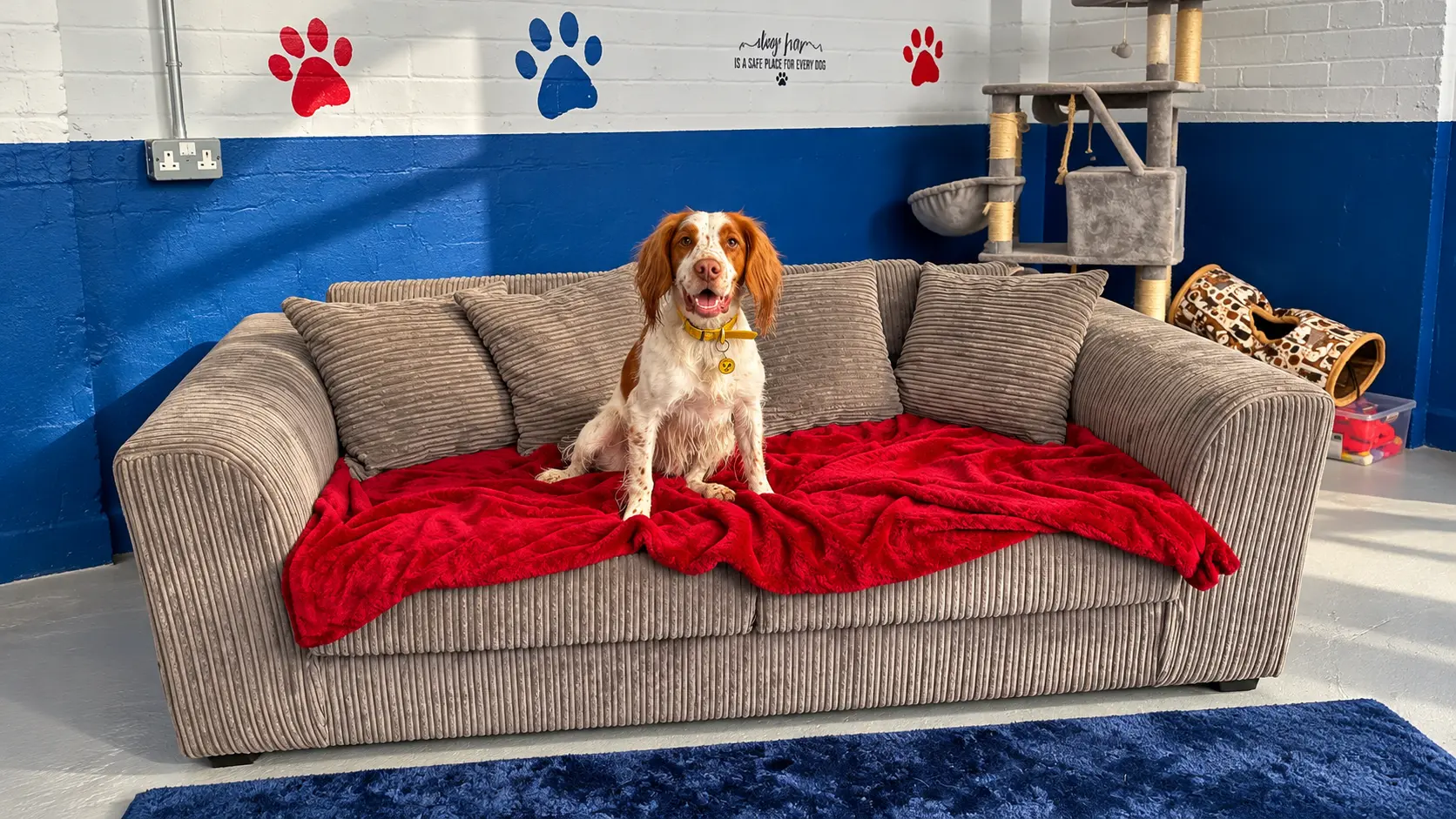 B.K.K Private Dog Park Indoor & Outdoor
