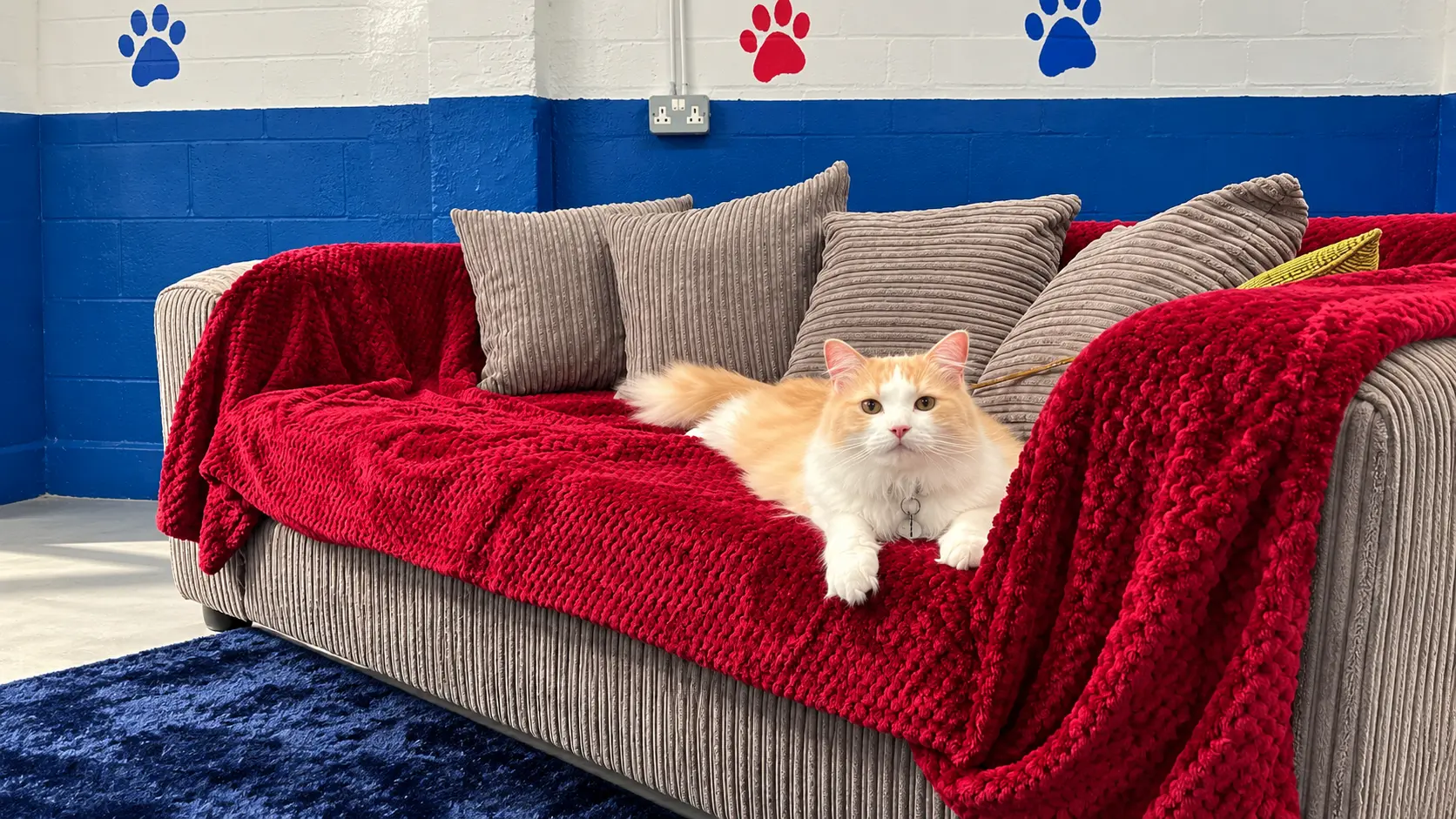B.K.K Private Dog Park Indoor & Outdoor