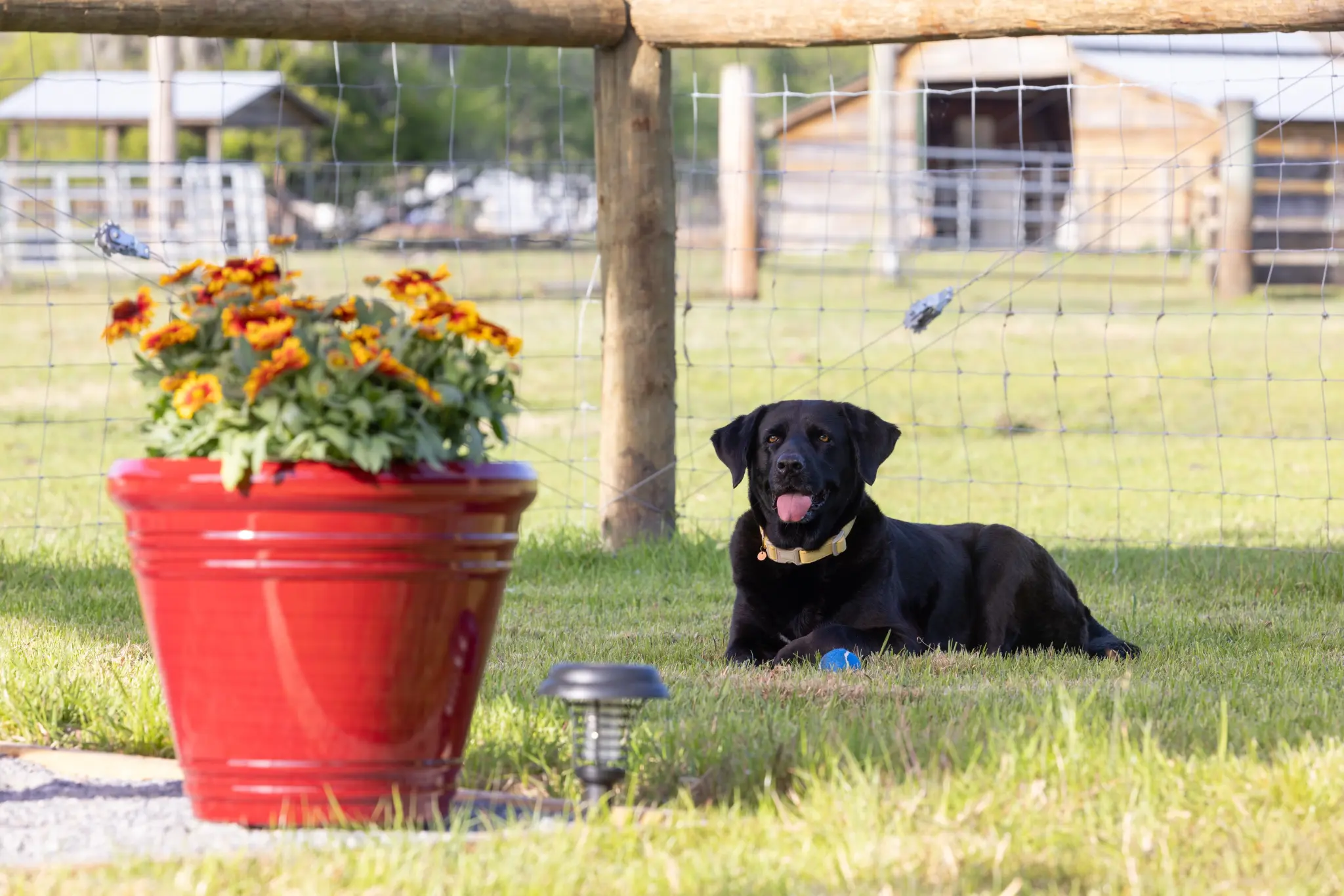 Unleashed Private Dog Park