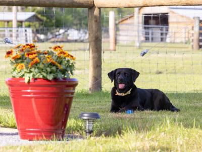 Unleashed Private Dog Park