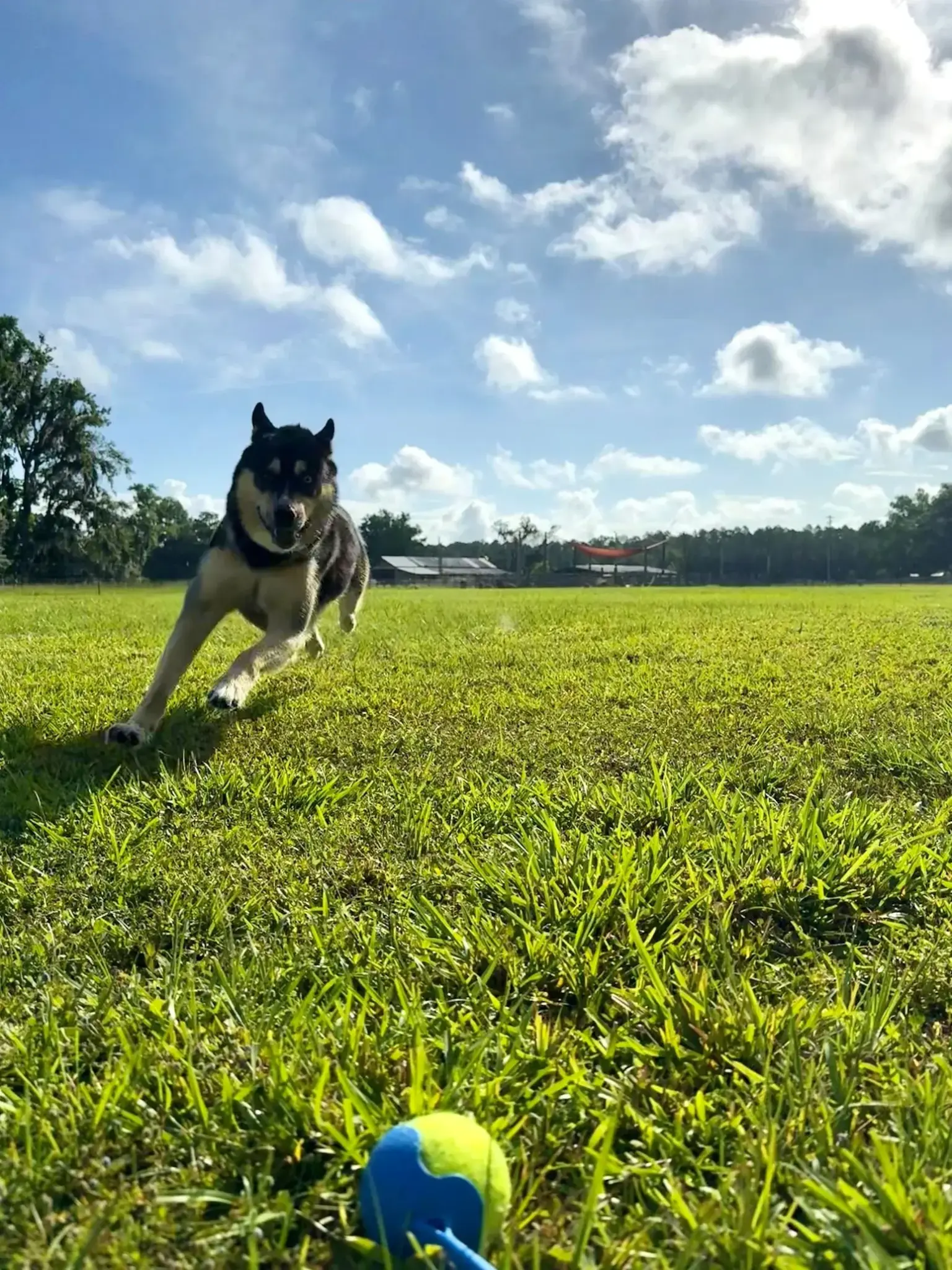 Unleashed Private Dog Park