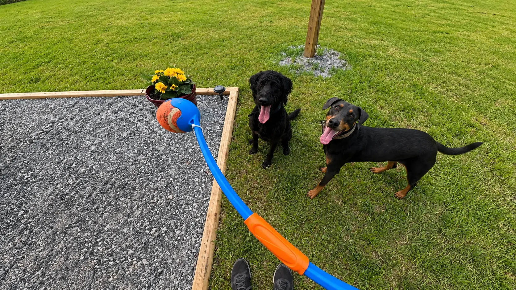 Unleashed Private Dog Park