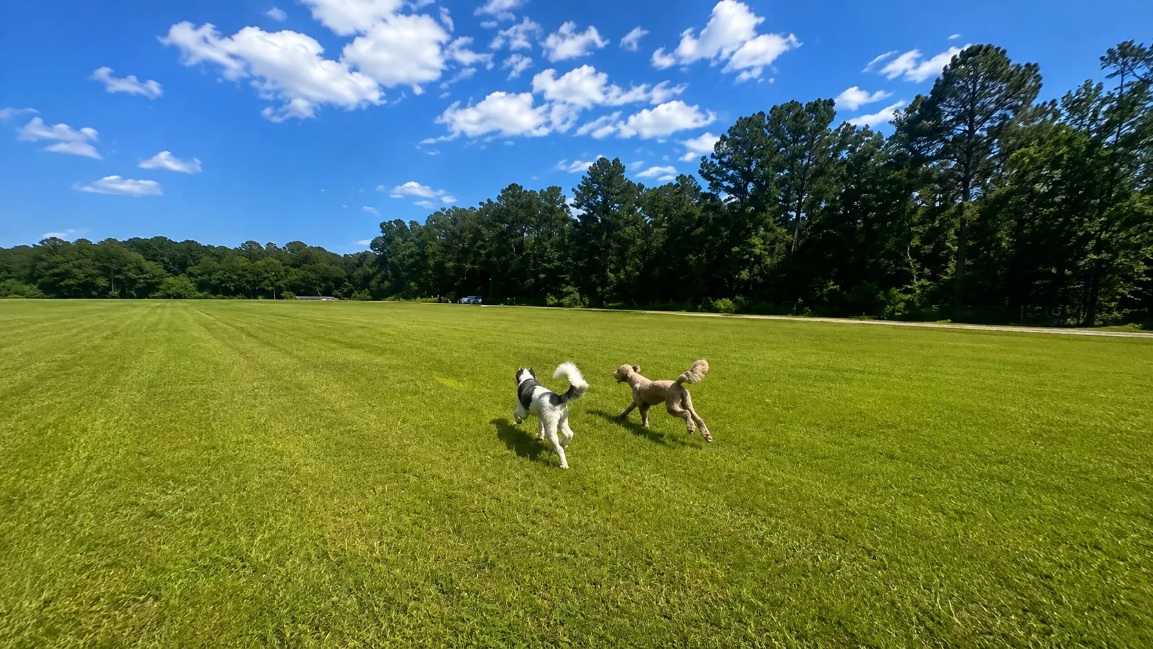 Unleashed Private Dog Park