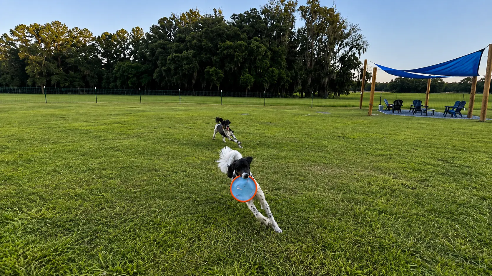 Unleashed Private Dog Park
