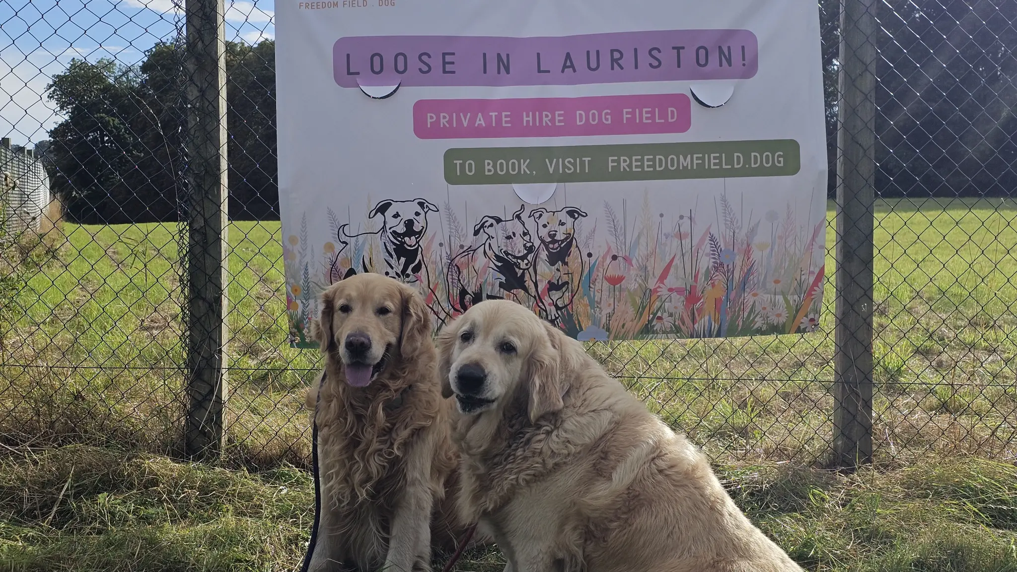Loose In Lauriston - Freedom Dog Field
