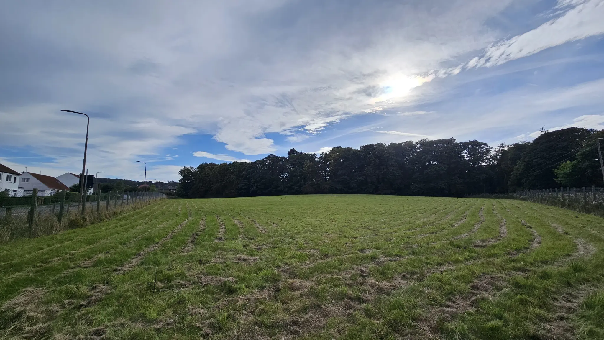 Loose In Lauriston - Freedom Dog Field