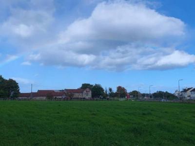 Loose In Lauriston - Freedom Dog Field