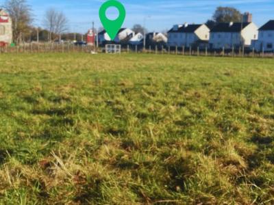 Loose In Lauriston - Freedom Dog Field
